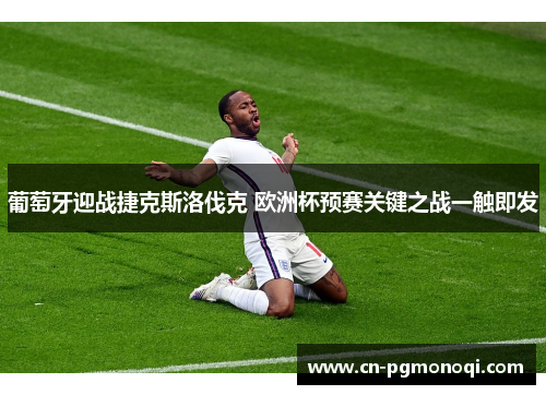 葡萄牙迎战捷克斯洛伐克 欧洲杯预赛关键之战一触即发