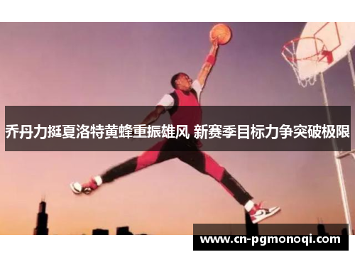 乔丹力挺夏洛特黄蜂重振雄风 新赛季目标力争突破极限