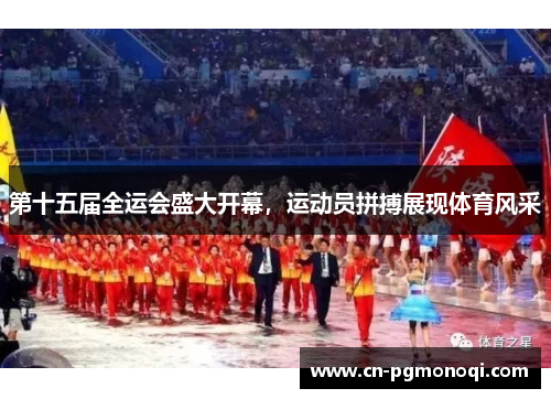 第十五届全运会盛大开幕，运动员拼搏展现体育风采