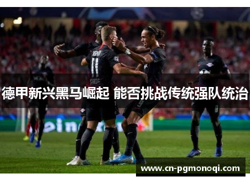 德甲新兴黑马崛起 能否挑战传统强队统治